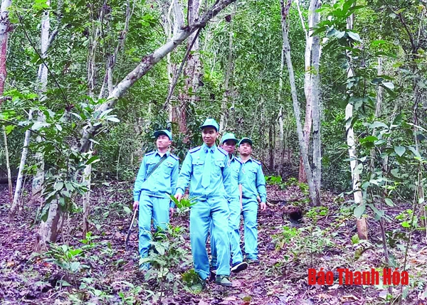 Đẩy mạnh công tác bảo vệ và phát triển rừng