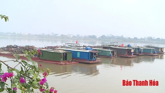 Bắt giữ 11 tàu khai thác cát trái phép