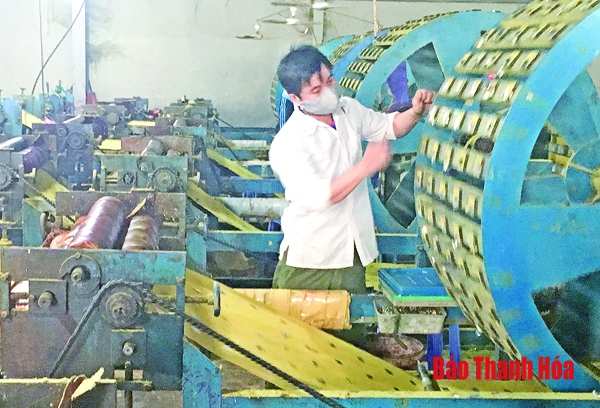 Giá trị sản xuất lâm nghiệp của huyện Lang Chánh đạt trên 518 tỷ đồng