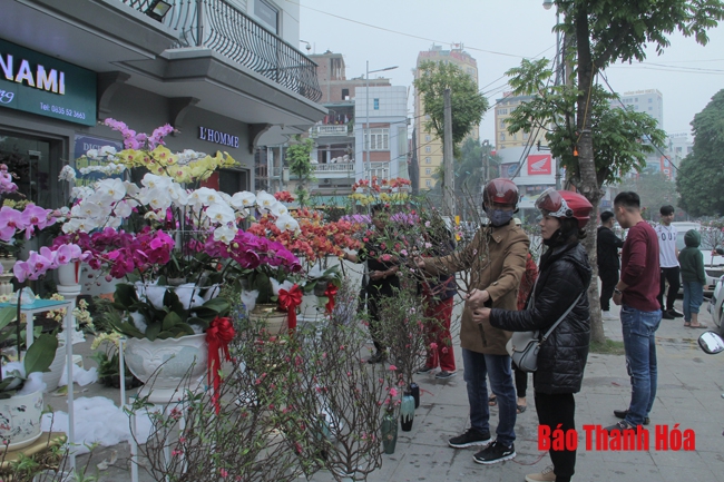 TP Thanh Hóa tổ chức nhiều chợ hoa xuân trong dịp Tết Nguyên đán Kỷ Hợi