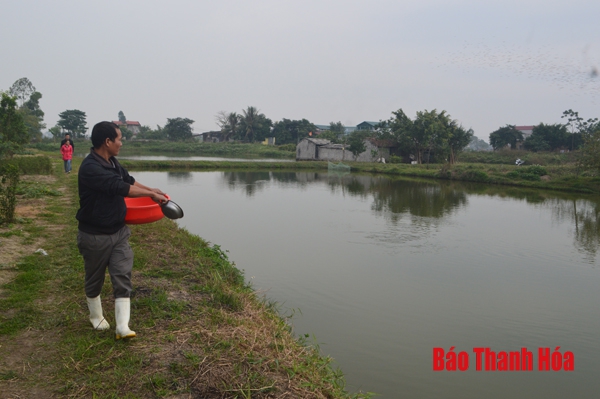 Chuyện giảm nghèo bền vững ở huyện Quảng Xương
