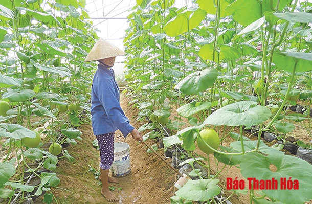 Tạo đột phá, xây dựng huyện Thọ Xuân phát triển nhanh và bền vững