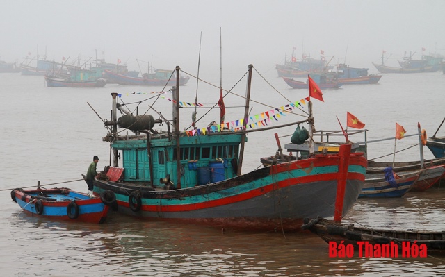 Triển khai thực hiện “Tháng hành động bảo vệ nguồn lợi thủy sản vùng ven biển tỉnh Thanh Hóa”