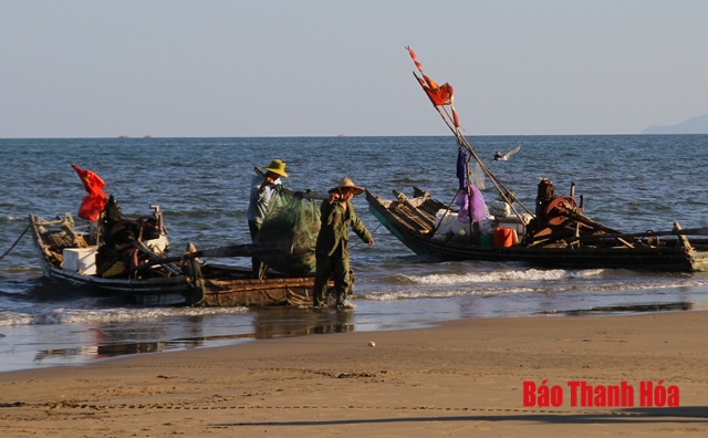 Triển khai thực hiện “Tháng hành động bảo vệ nguồn lợi thủy sản vùng ven biển tỉnh Thanh Hóa”