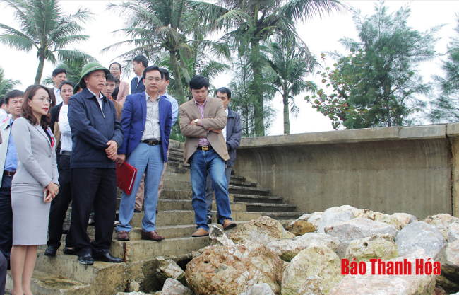 Khẩn trương thực hiện các giải pháp hoàn thành Dự án xử lý sạt lở bờ biển Sầm Sơn