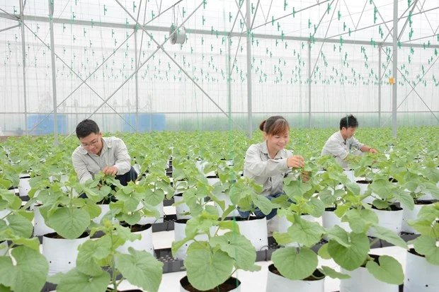 Các mặt hàng thực phẩm đồng loạt xuống giá, CPI tháng 3 giảm 0,21%