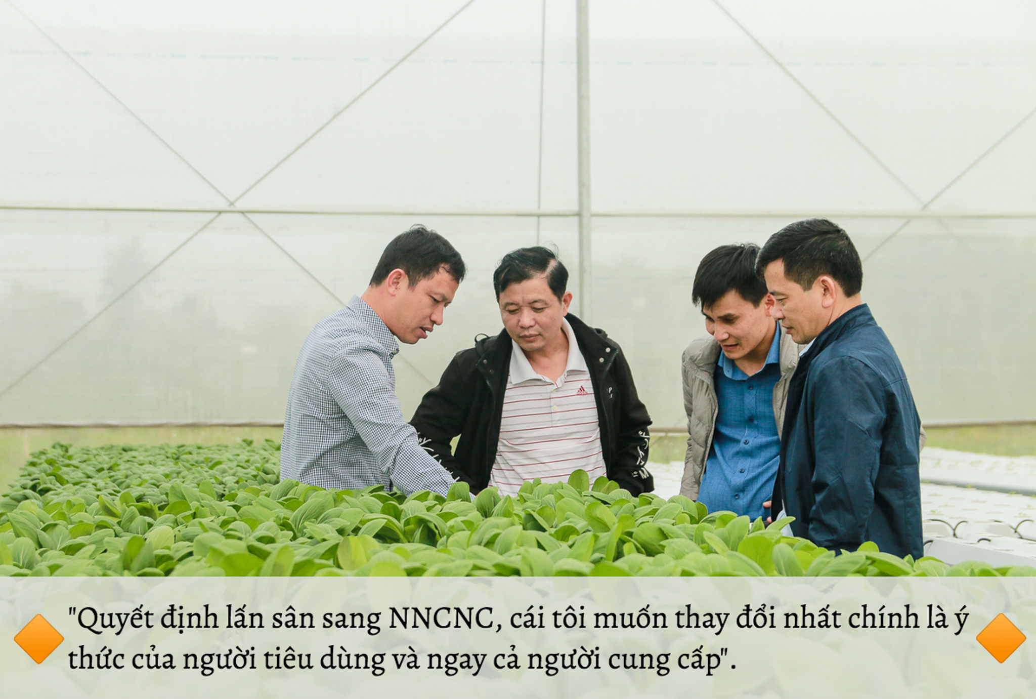 [E-magazine] Ước mơ theo đuổi Nông nghiệp tử tế của CEO xứ Thanh