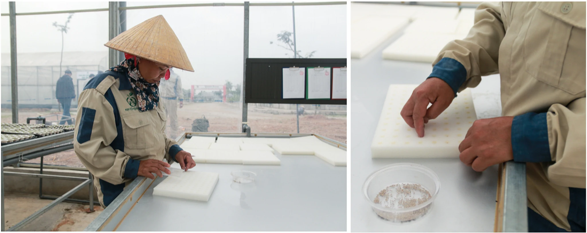 [E-magazine] Ước mơ theo đuổi Nông nghiệp tử tế của CEO xứ Thanh