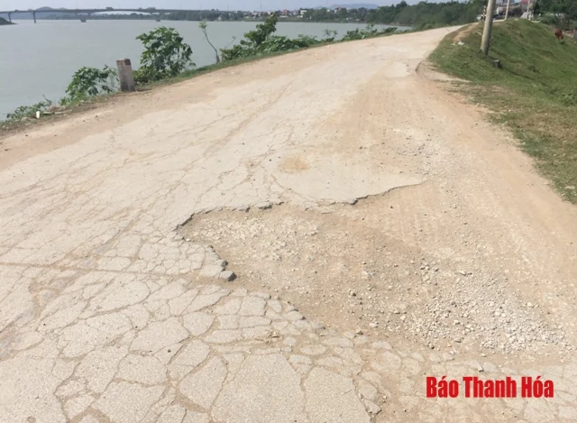 Mặt đê sông Chu, sông Mã: Nhiều đoạn xuống cấp nghiêm trọng
