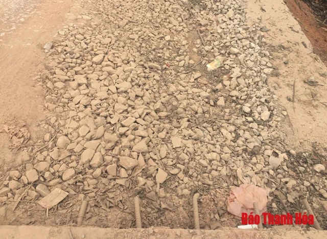 Mặt đê sông Chu, sông Mã: Nhiều đoạn xuống cấp nghiêm trọng