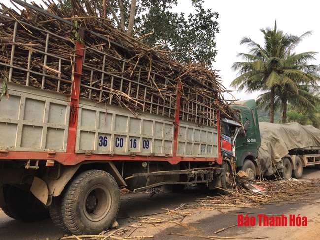Báo động tình trạng mất an toàn giao thông từ xe ô tô chở mía trên địa bàn huyện Thạch Thành