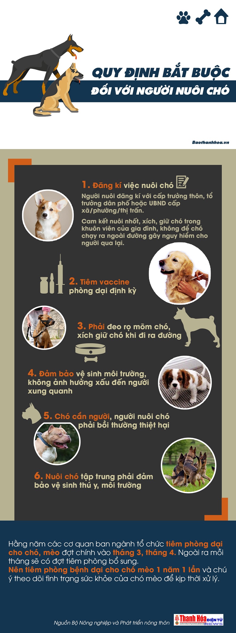 [Infographics] Những quy định bắt buộc đối với người nuôi chó
