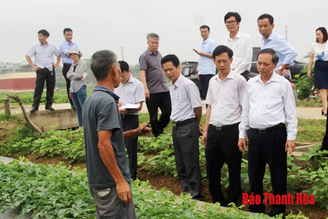 Tập trung thực hiện các giải pháp để Nga Sơn sớm về đích huyện nông thôn mới
