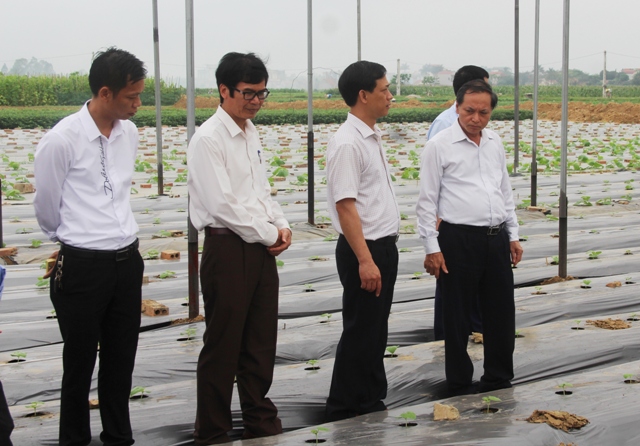 Tập trung thực hiện các giải pháp để Nga Sơn sớm về đích huyện nông thôn mới