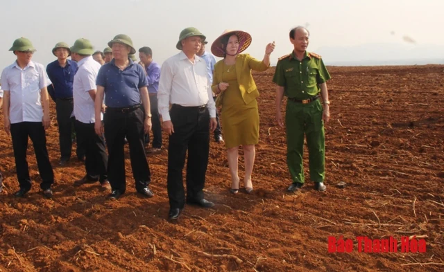 Chuẩn bị chu đáo các điều kiện cho lễ khởi công dự án Chăn nuôi bò sữa và chế biến sữa tập trung quy mô công nghiệp