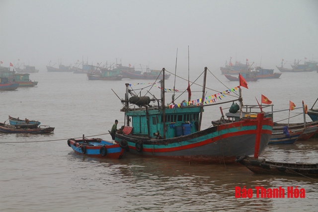 Hội thảo chống biến đổi khí hậu và nước biển dâng