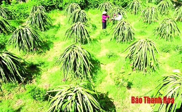 Về những miền quê đáng sống