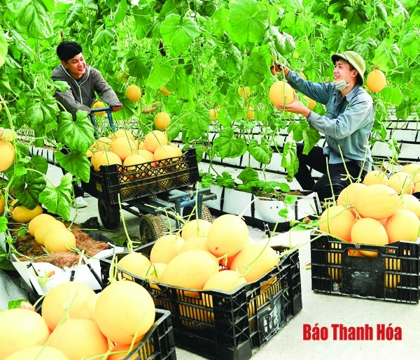 Về những miền quê đáng sống