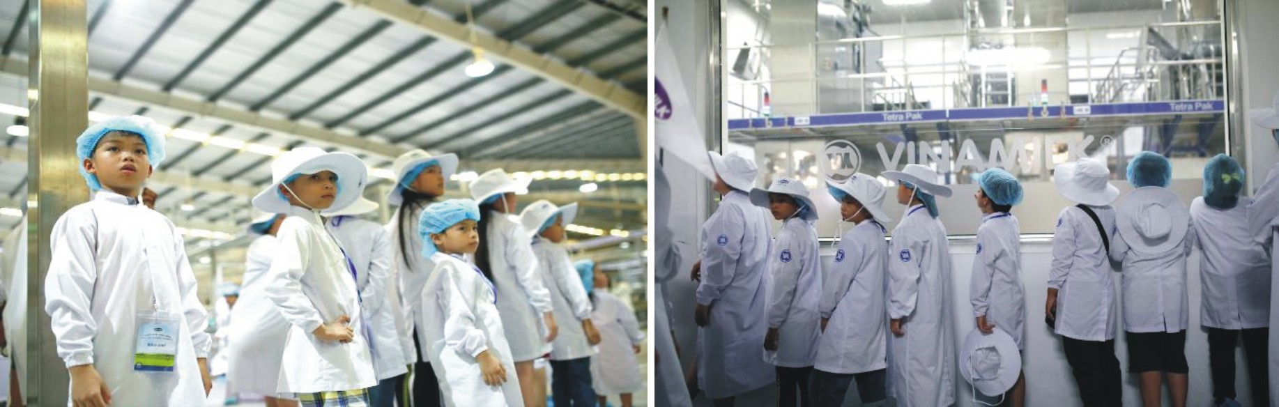 Thêm vững tin về chất lượng sữa học đường Vinamilk