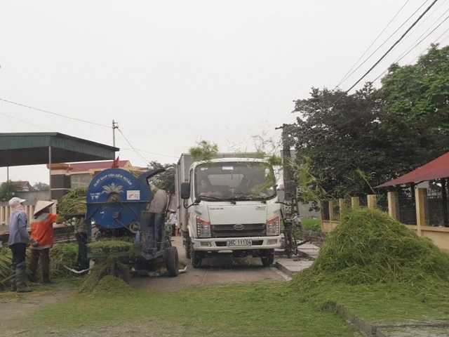 Mùa gặt và nỗi lo mất an toàn giao thông từ việc phơi rơm, lúa trên đường