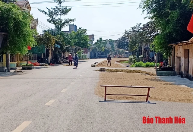Mùa gặt và nỗi lo mất an toàn giao thông từ việc phơi rơm, lúa trên đường