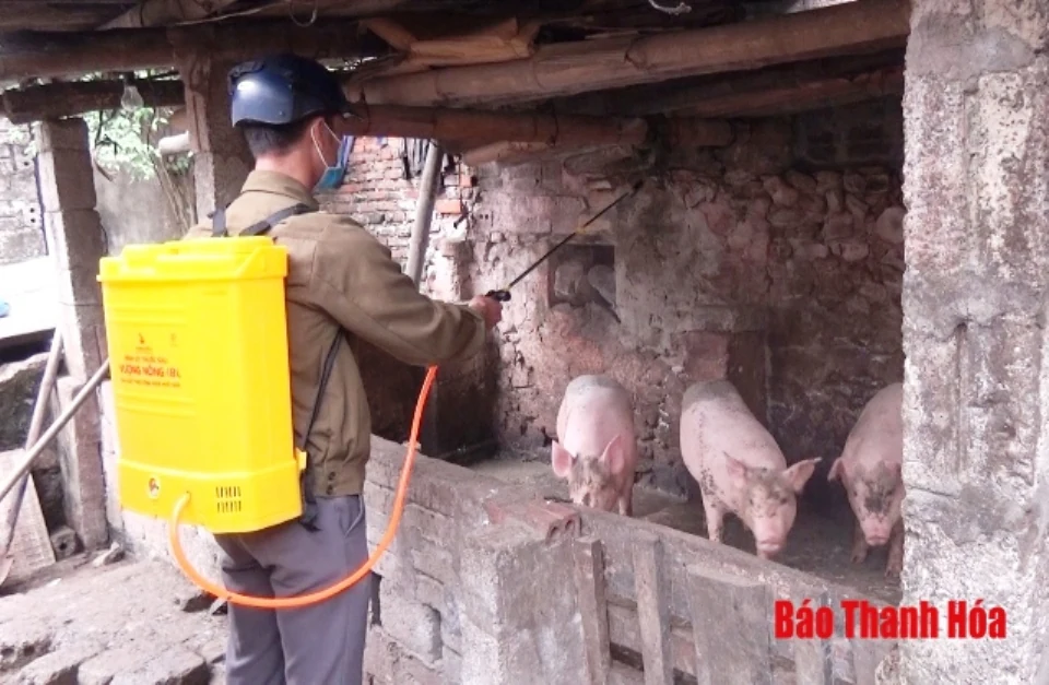Triển khai các giải pháp cấp bách khống chế bệnh Dịch tả lợn Châu Phi