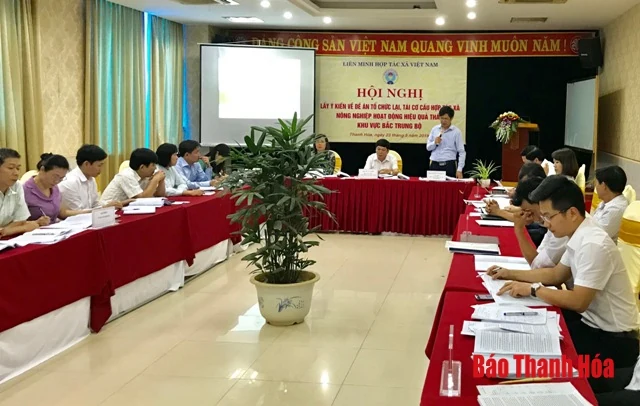 Thảo luận các giải pháp tổ chức lại, tái cơ cấu HTX nông nghiệp hoạt động hiệu quả thấp khu vực Bắc Trung Bộ
