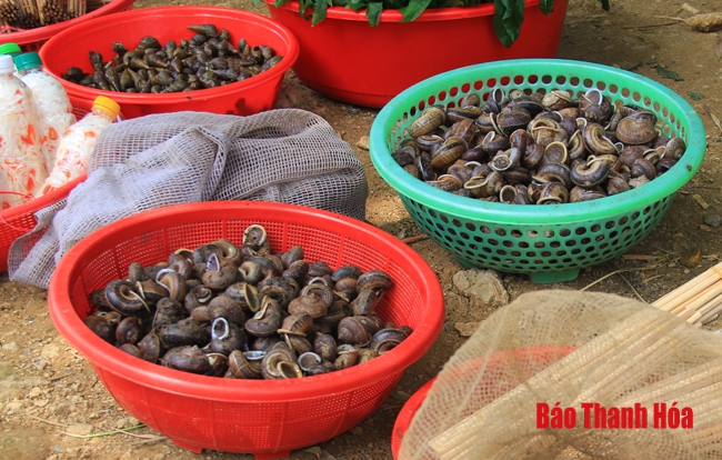 Thác Mây (Thạch Thành) – “Quà tặng vô giá” của thiên nhiên, điểm giải nhiệt tuyệt vời ở xứ Thanh