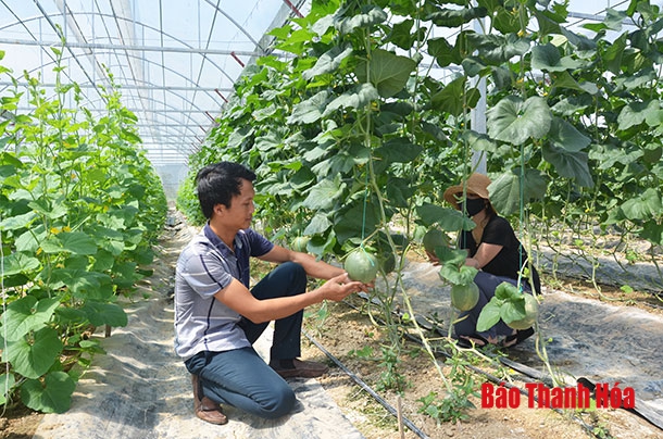 Huyện Hậu Lộc: Tạo điều kiện thuận lợi, hỗ trợ doanh nghiệp phát triển