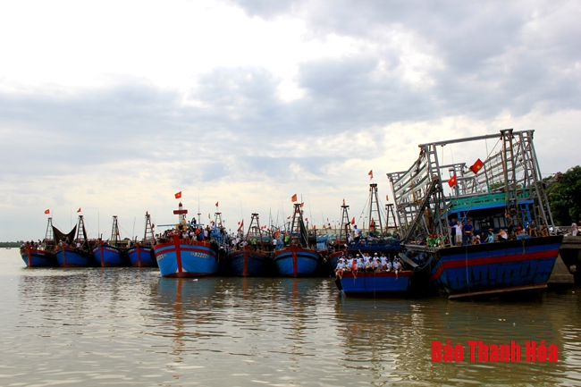 Nhộn nhịp chợ cá cảng Hới