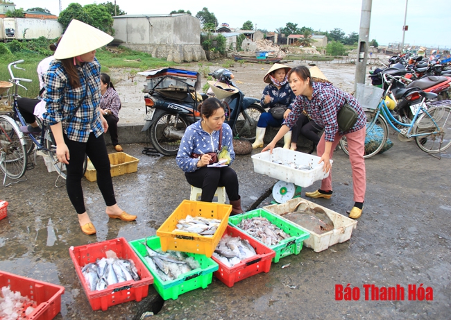 Nhộn nhịp chợ cá cảng Hới