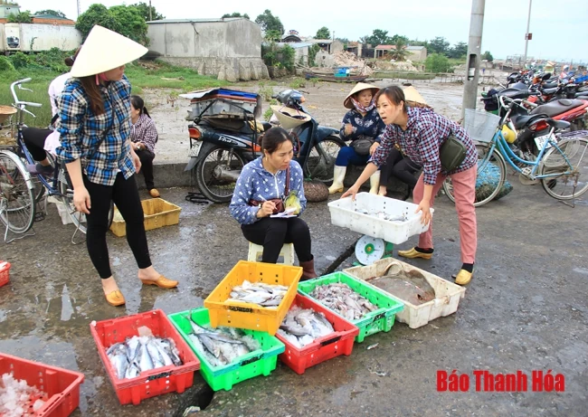 Nhộn nhịp chợ cá cảng Hới