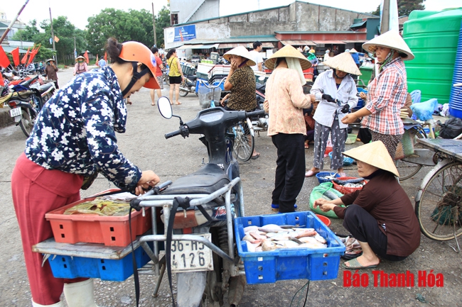 Nhộn nhịp chợ cá cảng Hới