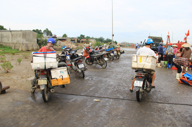 Nhộn nhịp chợ cá cảng Hới