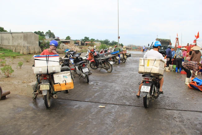 Nhộn nhịp chợ cá cảng Hới