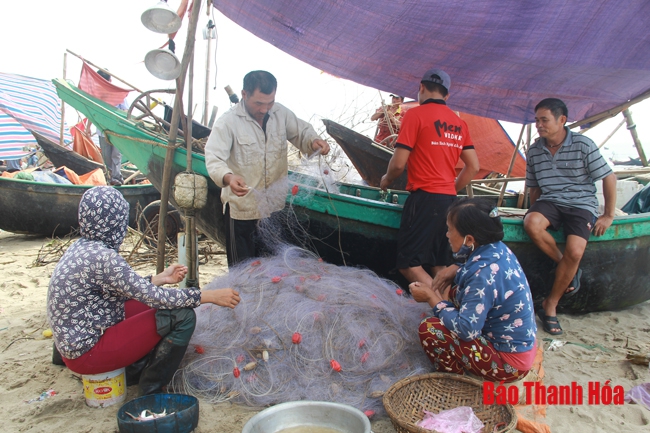 Nhộn nhịp chợ cá cảng Hới