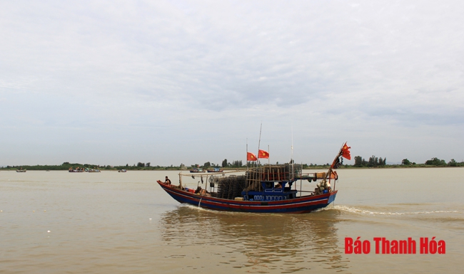Nhộn nhịp chợ cá cảng Hới