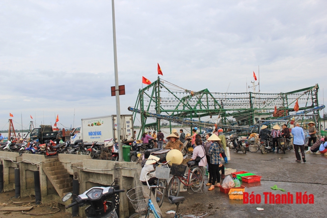 Nhộn nhịp chợ cá cảng Hới