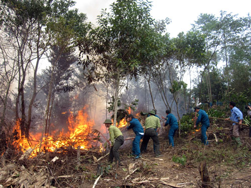 Tăng cường phòng chống cháy rừng