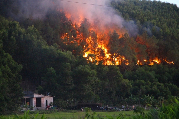 Tăng cường các biện pháp cấp bách phỏng cháy, chữa cháy rừng