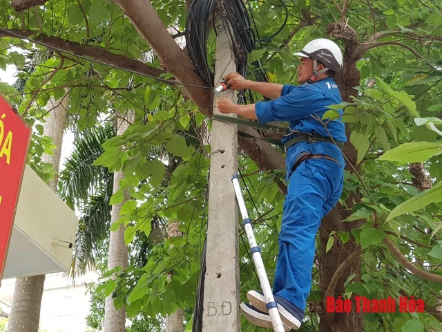 TP Thanh Hóa: Sau phản ánh của Báo Thanh Hóa, nhiều đoạn cáp viễn thông đã được bó gọn