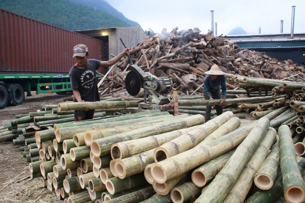Tổng giá trị sản xuất huyện Quan Hóa tăng 17,6%