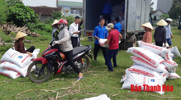 Tỉnh Đoàn Thanh Hóa trao bò giống và thức ăn chăn nuôi hỗ trợ giảm nghèo cho các hộ dân huyện Thạch Thành