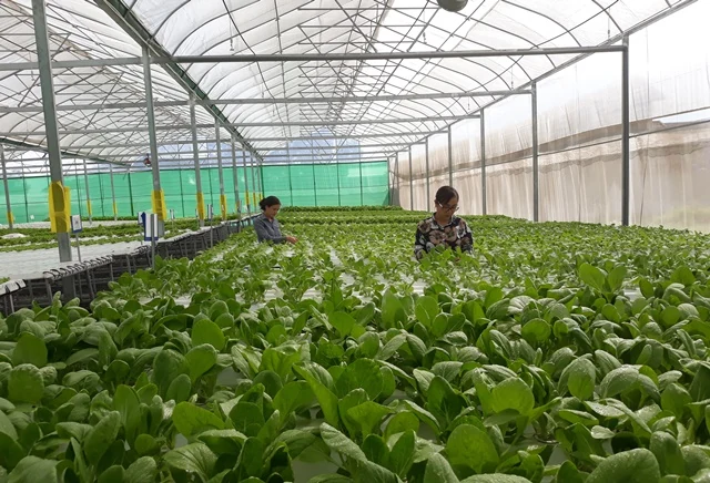 Công nhận huyện Đông Sơn đạt chuẩn nông thôn mới