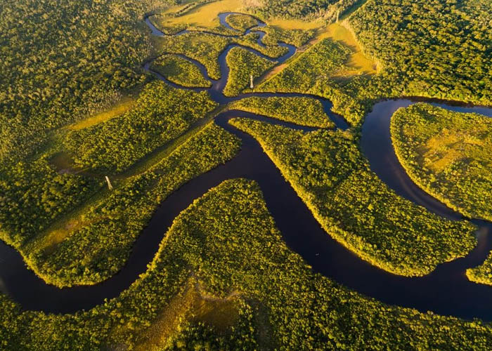 Vẻ đẹp của rừng Amazon trước trận cháy kỷ lục