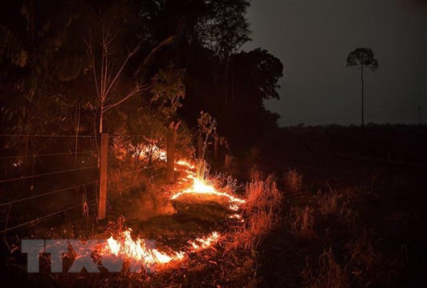 Brazil điều máy bay vận tải quân sự tham gia dập cháy rừng Amazon