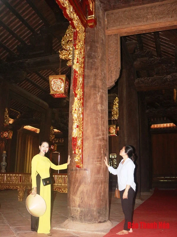 Chuyện về cây lim “hiến thân” ở vùng đất thiêng Lam Kinh