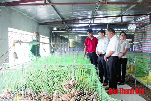 Chính sách kích cầu - “bà đỡ” cho phát triển sản xuất nông nghiệp ở Yên Định