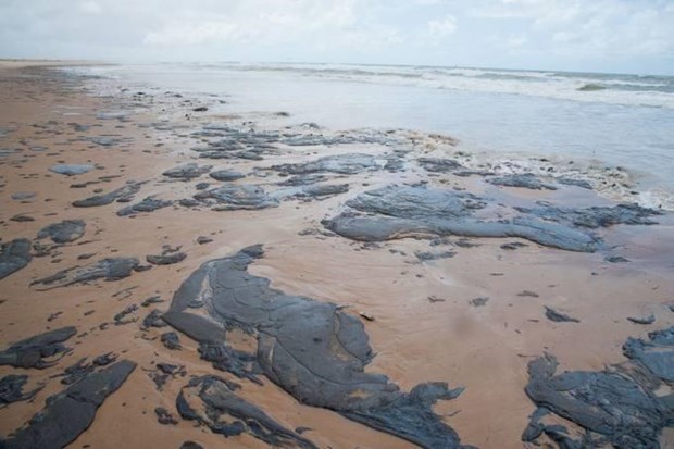 Venezuela bác bỏ cáo buộc của Brazil về sự cố tràn dầu trên biển