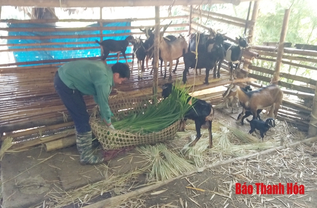 Chuyện từ những lá đơn xin thoát nghèo ở huyện Quan Sơn: Bài 1 - Xin thoát nghèo để nhường suất hỗ trợ cho hộ khó khăn hơn